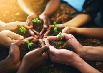 Práticas Regenerativas e Sustentáveis Transformam o Agronegócio