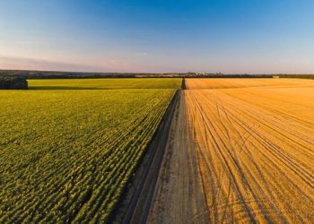 Exportações do agronegócio em outubro foram de US$ 13,38 bilhões