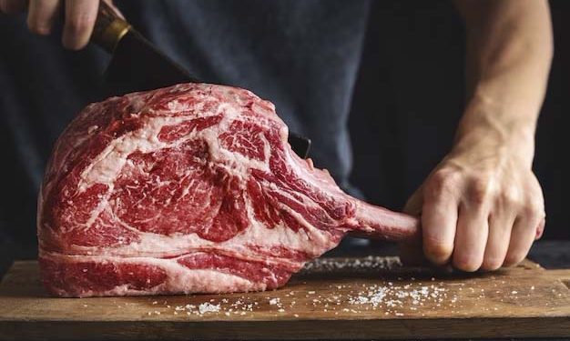 Exportação parcial de carne bovina segue projetando maior volume do ano para novembro