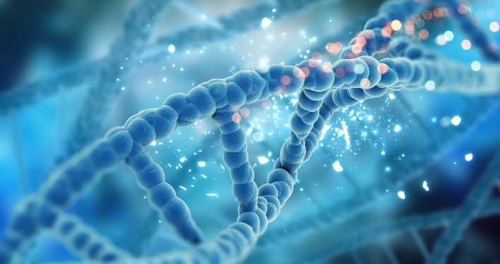 Como agregar valor aos animais utilizando ferramentas e tecnologias de avaliação genética