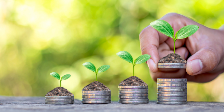 Aplicações no crédito rural chegam a R$ 217 bilhões