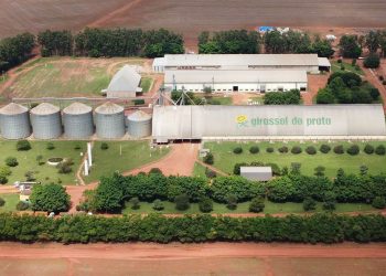 Empresa segue com plano de crescimento em sementes de soja