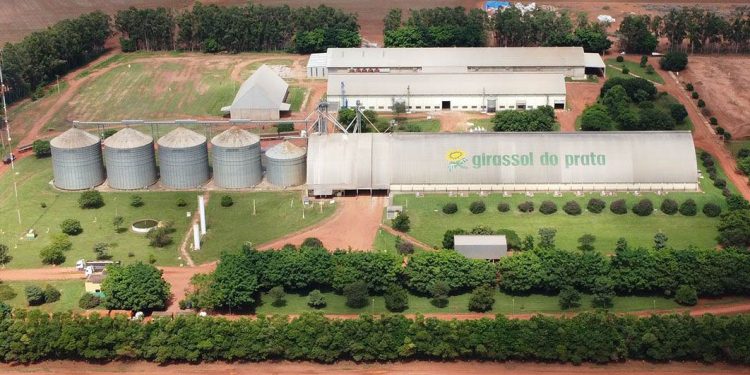 Empresa segue com plano de crescimento em sementes de soja