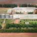 Empresa segue com plano de crescimento em sementes de soja