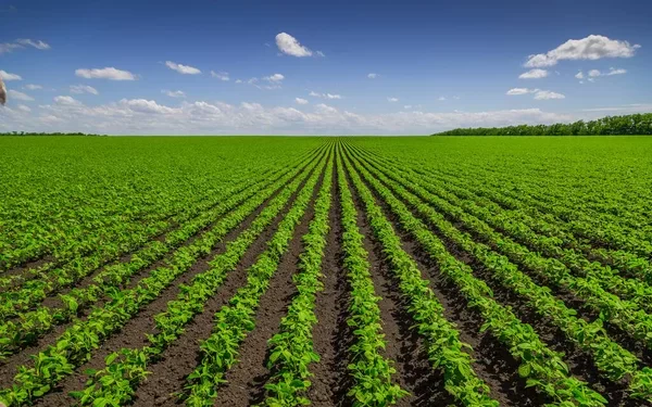 Governo anuncia calendário de eventos do agro no Piauí