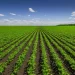 Governo anuncia calendário de eventos do agro no Piauí