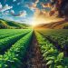 O agro e as mudanças climáticas
