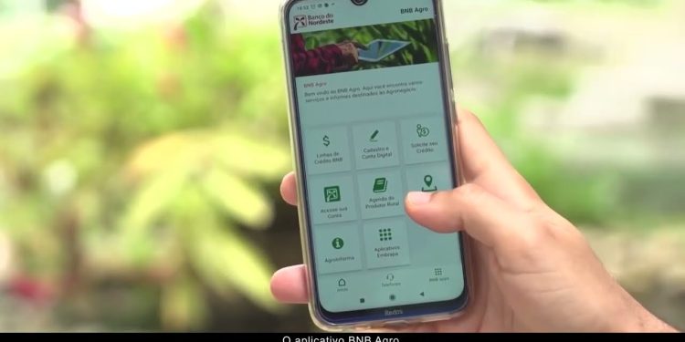 BNB financia arranjos produtivos