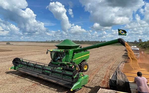 Piauí será destaque nacional na safra de soja 2024/2025