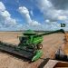 Piauí será destaque nacional na safra de soja 2024/2025
