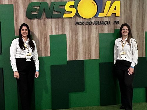 A tecnologia no mercado sementeiro