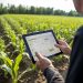A tecnologia na gestão do agro