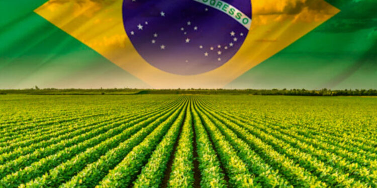 Agronegócio – A reforma tributária e as consequências severas para o agro