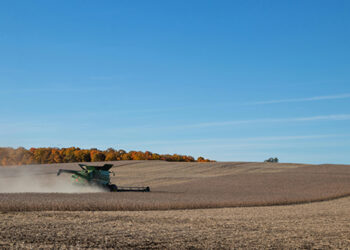 Aceleradoras do agro