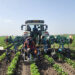 Água é desafio para agricultura