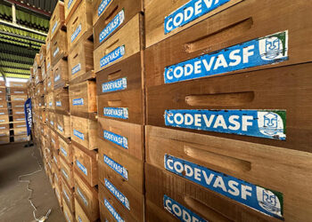 Codevasf entrega 10 mil colmeias no Piauí