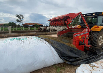Novo silo-bolsa para silagem