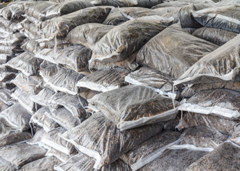 Guerra no Oriente Médio repercute no agro brasileiro