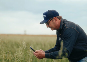 Monitoramento inteligente nas fazendas