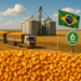 Exportações de milho avançam em setembro em compasso com demanda por carnes e etanol