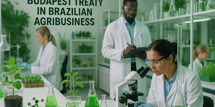 Adesão brasileira ao Tratado de Budapeste reduzirá custos com bioinsumos, diz setor