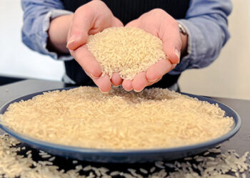 Queda nos preços do arroz pode comprometer cadeia produtiva