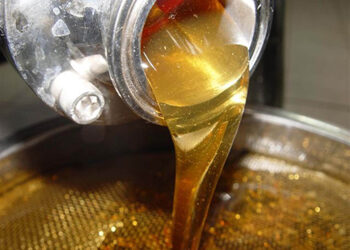 Piauí é o maior produtor de mel do Nordeste e concentra a segunda maior safra nacional