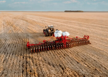 O Brasil no centro da segurança alimentar global